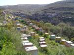 Μελισσοκομείο στην Κρήτη
